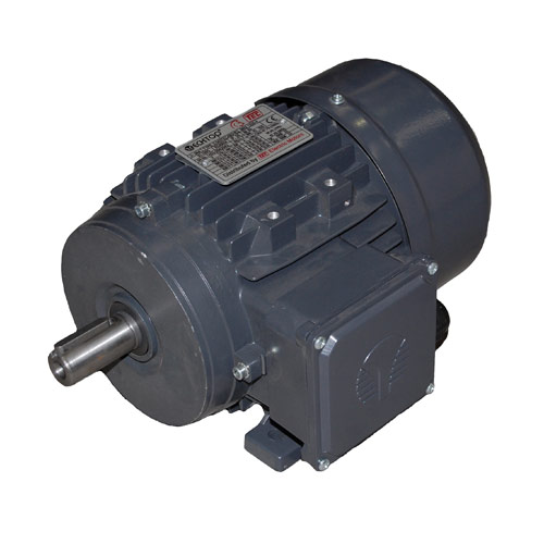 TEC Foot mountable electric motor